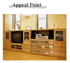 Appeal Point