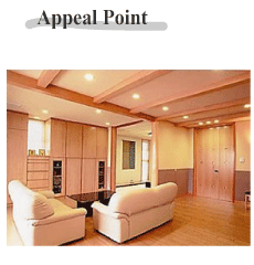 Appeal Point