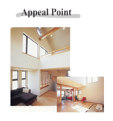 Appeal Point